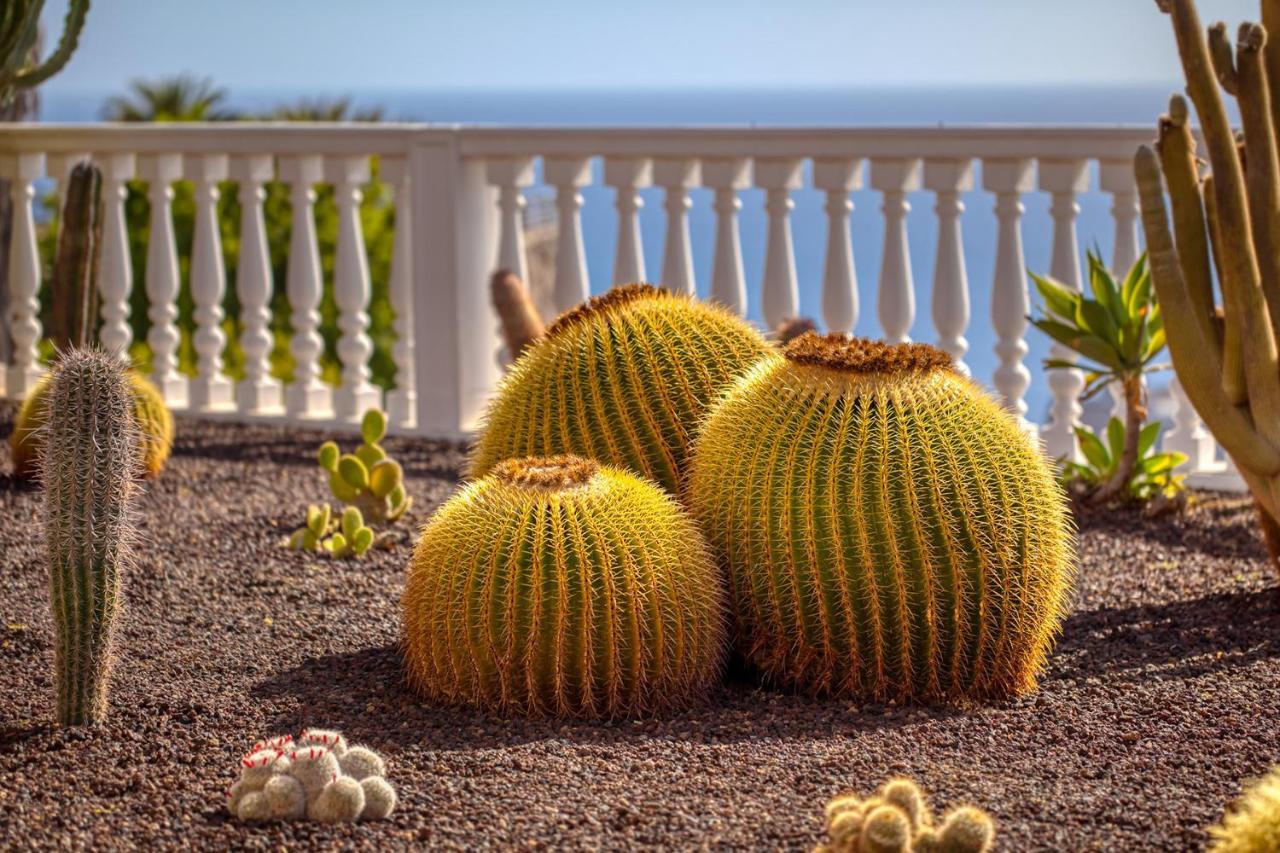 Stunning Villa With Breathtaking Ocean View Mogan Ngoại thất bức ảnh